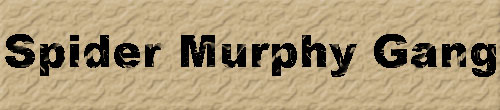 Spider Murphy Gang